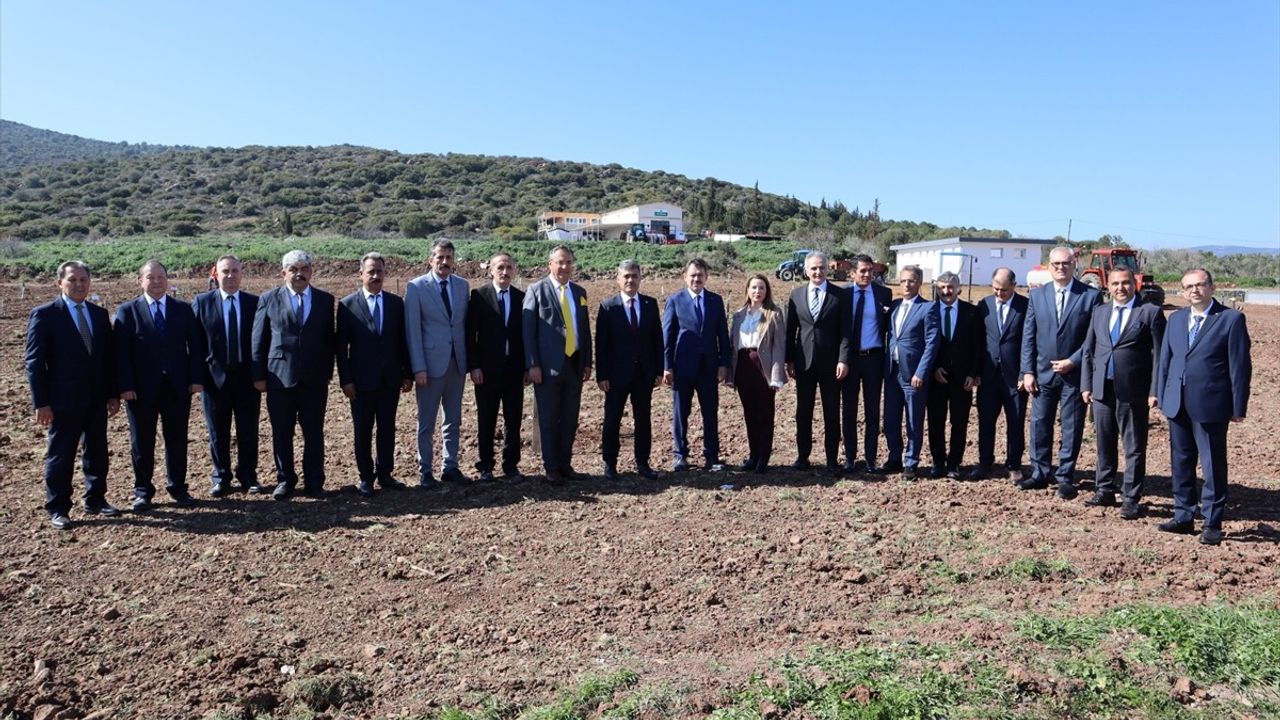 İzmir'de 'Kökten Hayata' Projesi ile 4 Bin Fidan Dikildi