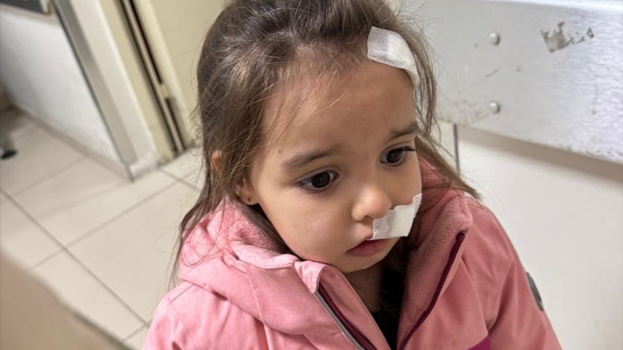 İzmir'deki Alışveriş Merkezinde Sahipsiz Köpeğin Saldırdığı 3 Yaşındaki Çocuk Yaralandı