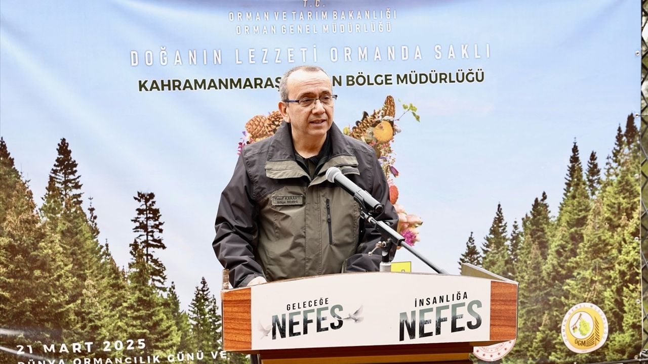 Kahramanmaraş'ta Orman Haftası Etkinliği: 4 Bin Kızılçam Fidanı Dikildi