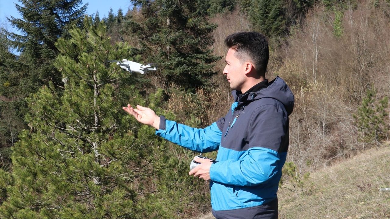 Kastamonu'nun Saklı Güzelliği: Değirmendere Şelalesi