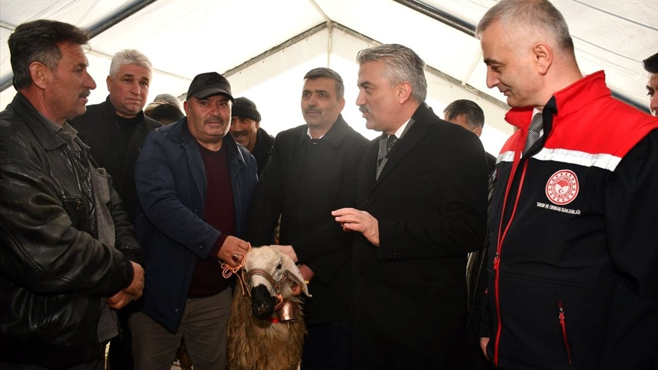 Kırıkkale'de Üreticilere 210 Damızlık Koç ve Destek Ekipmanları Dağıtıldı