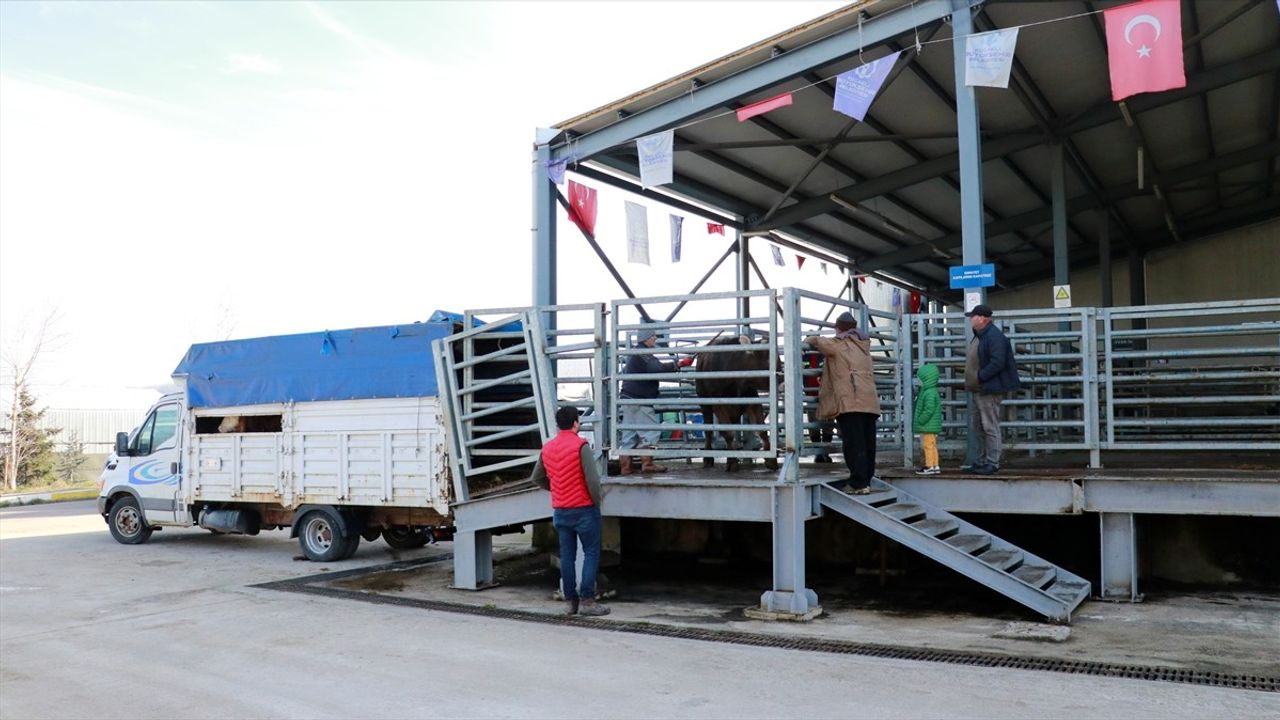 Kocaeli'de Mezbahalarda Ramazan Yoğunluğu Artıyor