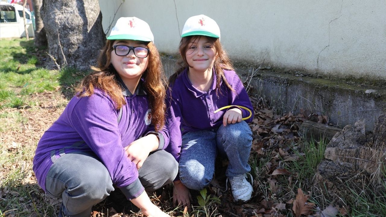 Kocaeli ve Sakarya'da Fidan Dikim Etkinlikleri