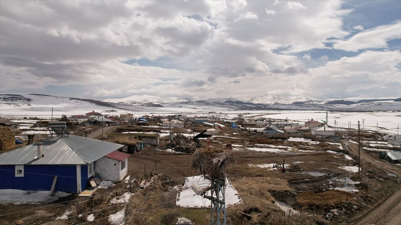 Leyleklerin İlkbahar Ziyareti: Ardahan'ın Göle İlçesine Gelişleri Başladı