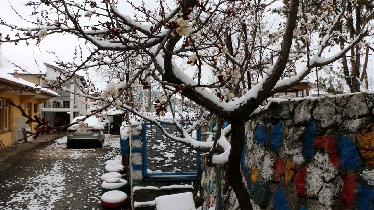 Malatya'da Etkili Kar Yağışı Hayatı Olumsuz Etkiliyor