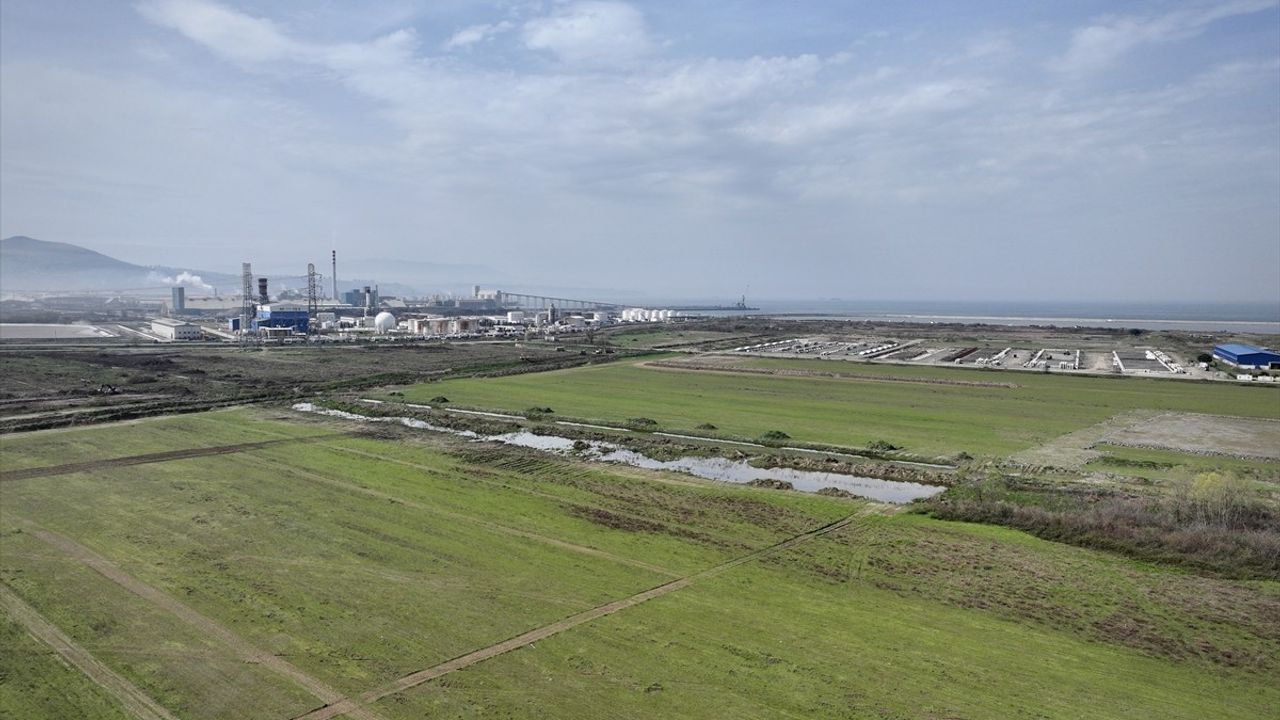 Mehmet Muş, Chery'nin Yatırım Planladığı Yeni Organize Sanayi Bölgesini İnceledi