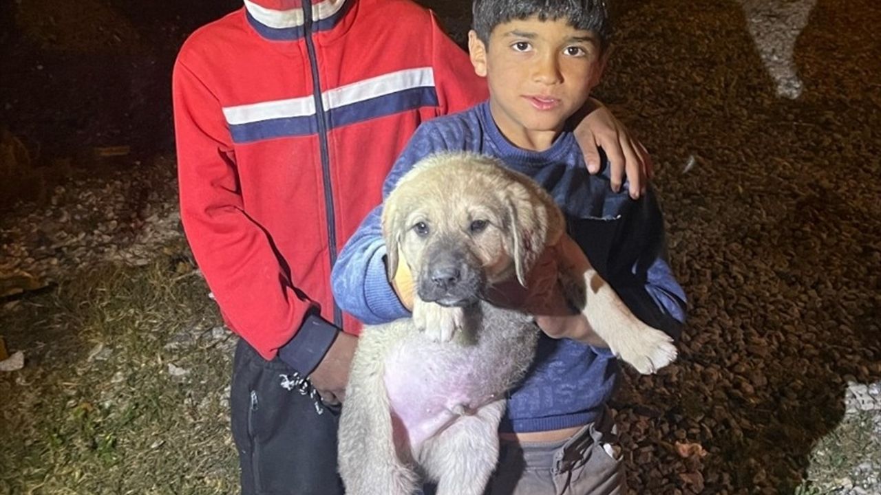 Mersin'de Su Kuyusuna Düşen Köpek Yavrusu İtfaiye Ekipleri Tarafından Kurtarıldı