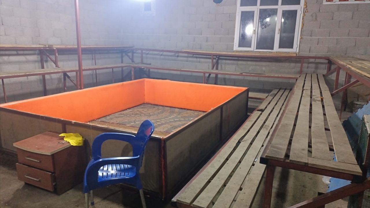 Mersin Tarsus'ta Horoz Dövüştüren 14 Kişiye 130 Bin Lira Ceza Kesildi