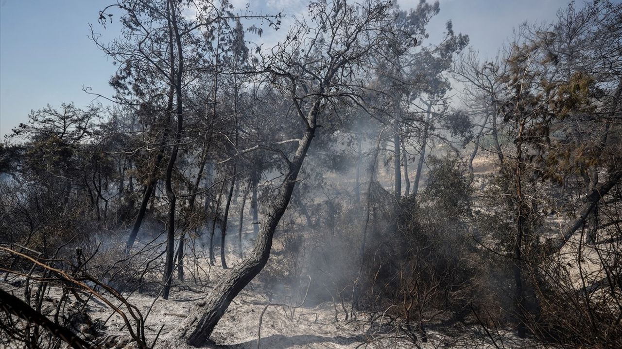 Mersin Yenişehir'deki Tarım Arazisinde Yangın Kontrol Altına Alındı