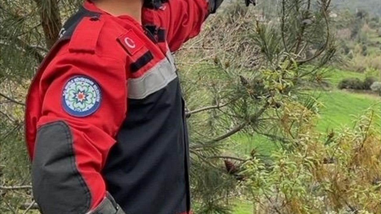 Muğla'da Ayağına İp Dolanan Alakarga Kurtarıldı