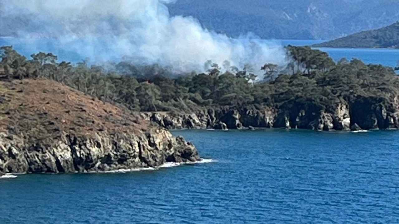 Muğla'da Fethiye'deki Orman Yangını Başarılı Müdahale ile Söndürüldü