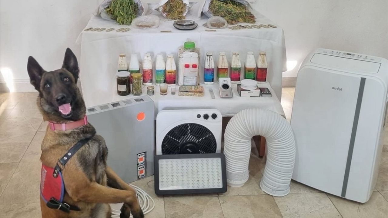 Muğla'da İklimlendirme Sistemi ile Uyuşturucu Üreten İki Şüpheli Gözaltına Alındı