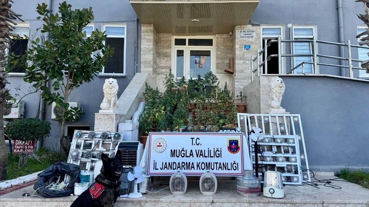 Muğla'da Uyuşturucu Operasyonunda Bir Kişi Tutuklandı