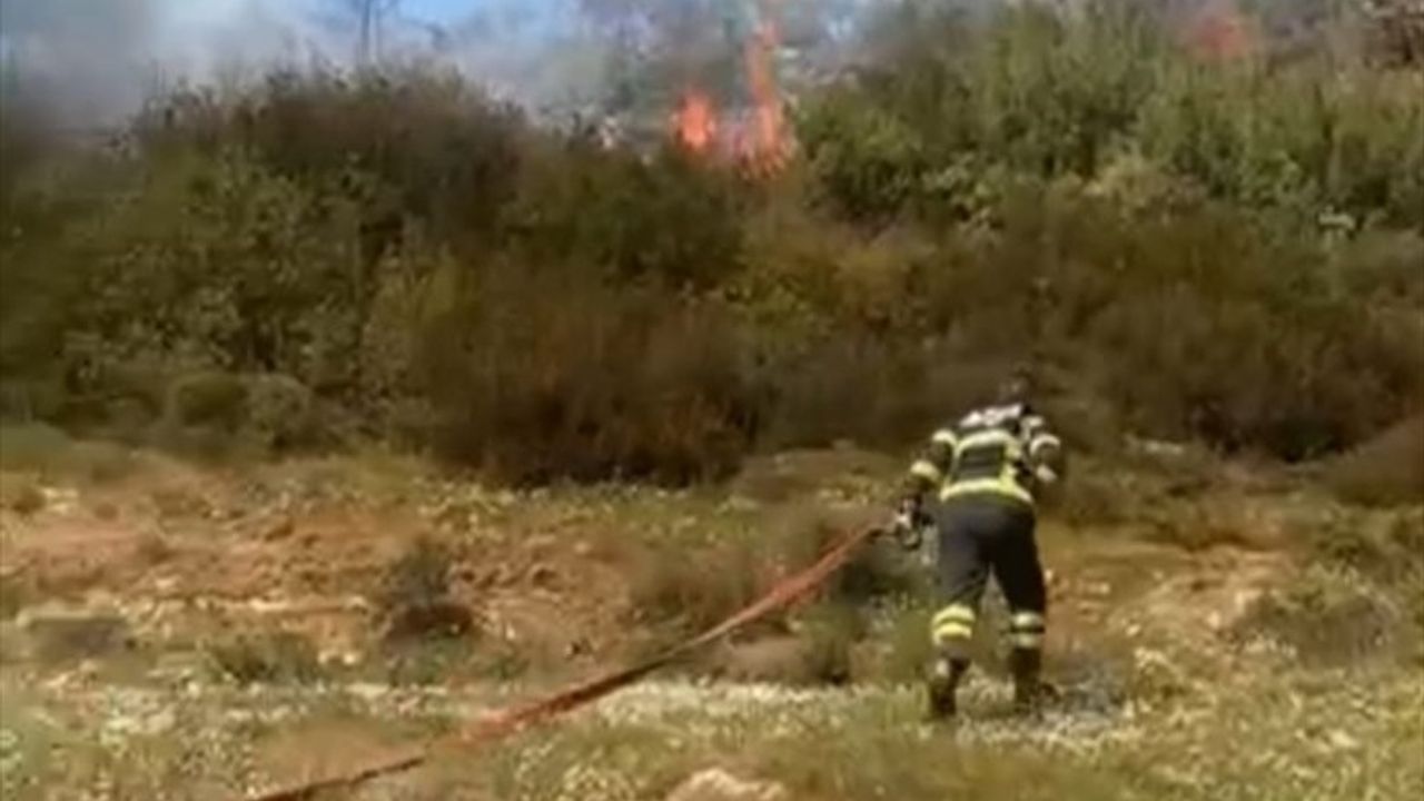 Muğla'nın Menteşe İlçesindeki Orman Yangını Kontrol Altına Alındı