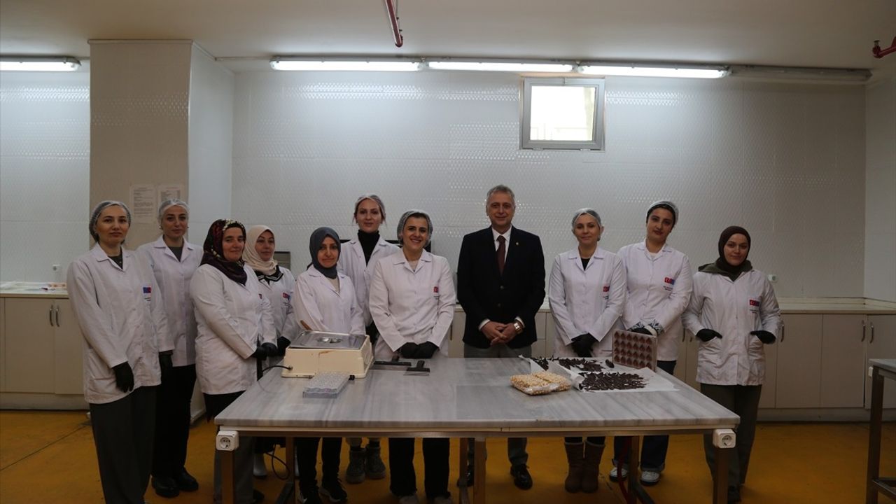 Ordulu Kadınların Butik Çikolataları e-Ticarette Satışa Sunulacak