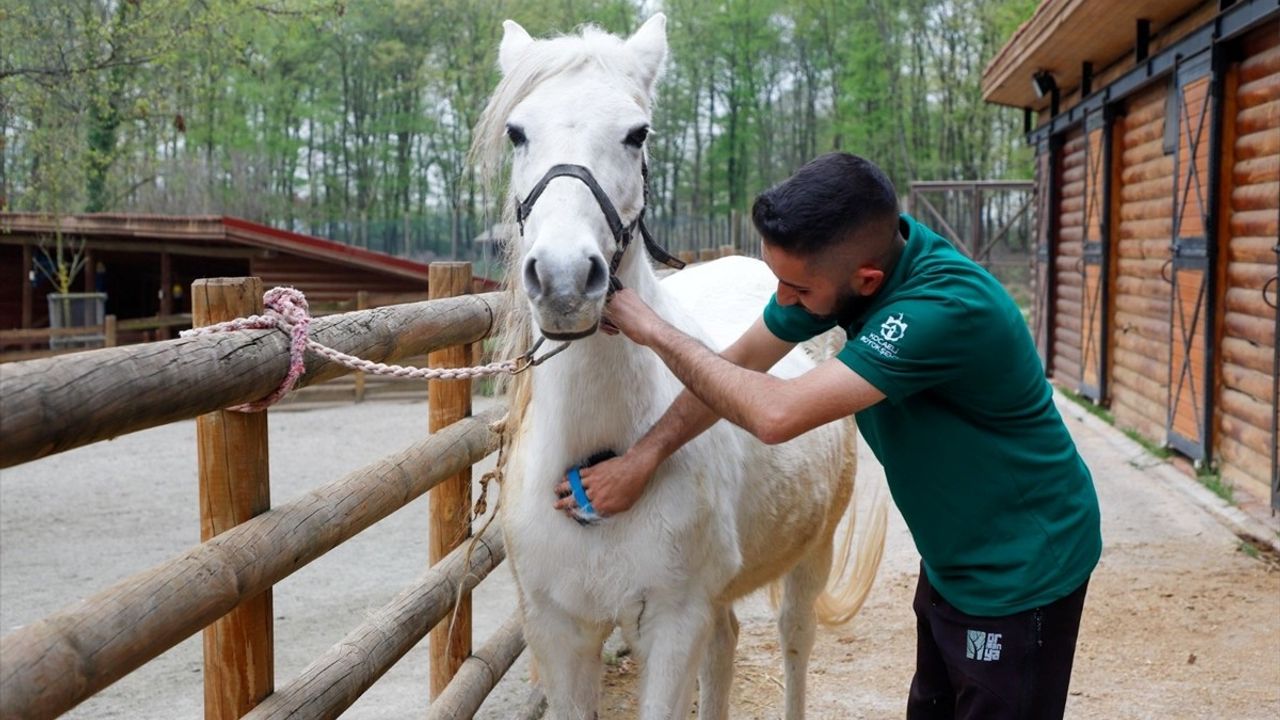 Ormanya Doğal Yaşam Parkı Ramazan Bayramı'nda Ziyaretçilerini Bekliyor