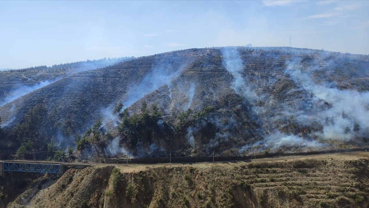 Osmaniye'deki örtü yangını kontrol altına alındı