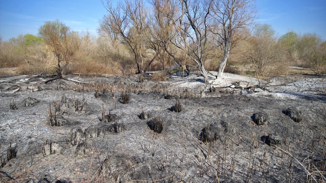 Osmaniye Kastabala Kuş Cenneti'nde Yangına Müdahale Ediliyor