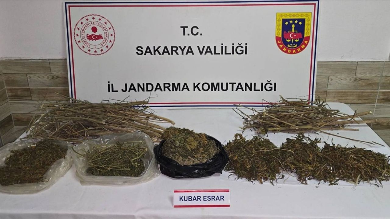 Sakarya'da Uyuşturucu Operasyonunda Bir Zanlı Tutuklandı