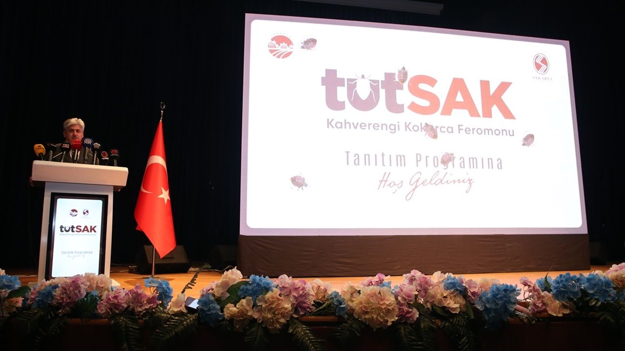 Sakarya'dan Yerli Feromon ile Kahverengi Kokarca Mücadelesi