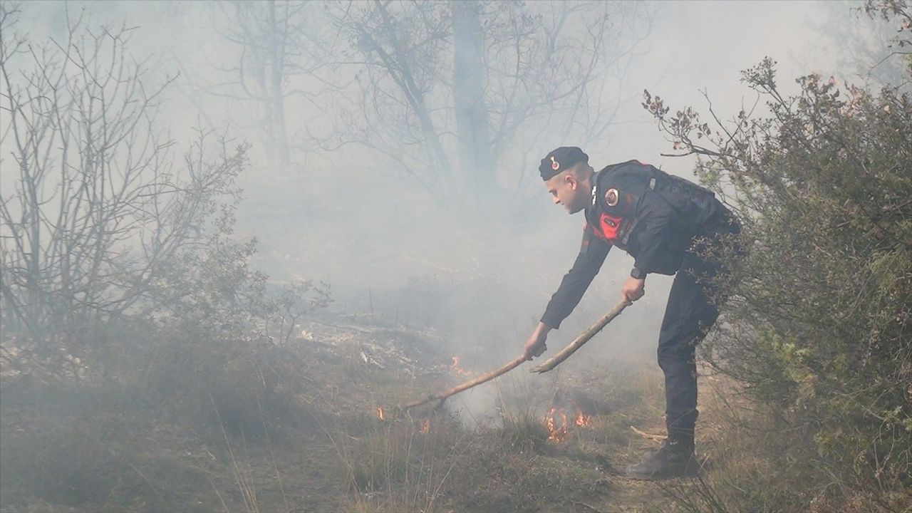 Sakarya'nın Taraklı İlçesinde Orman Yangını Kontrol Altına Alındı