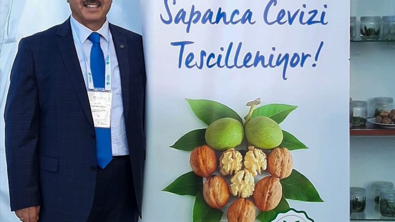 Sapanca Cevizi Coğrafi İşaretle Tescillendi