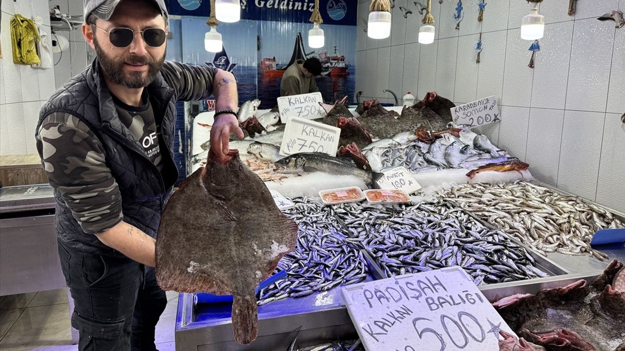 Sinop'ta Kalkan Balığı Avı Bereketi: Fiyatlar Düşüşte