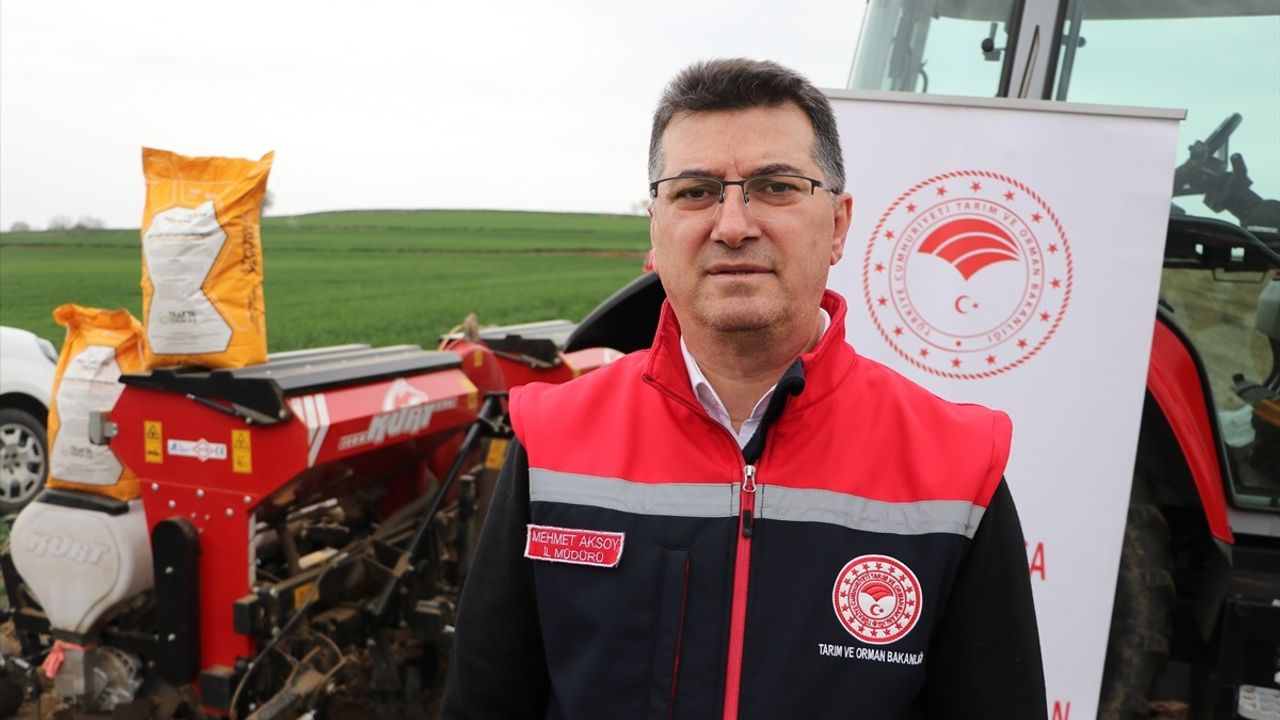 Tekirdağ'da Ayçiçeği Tohumları Toprakla Buluştu