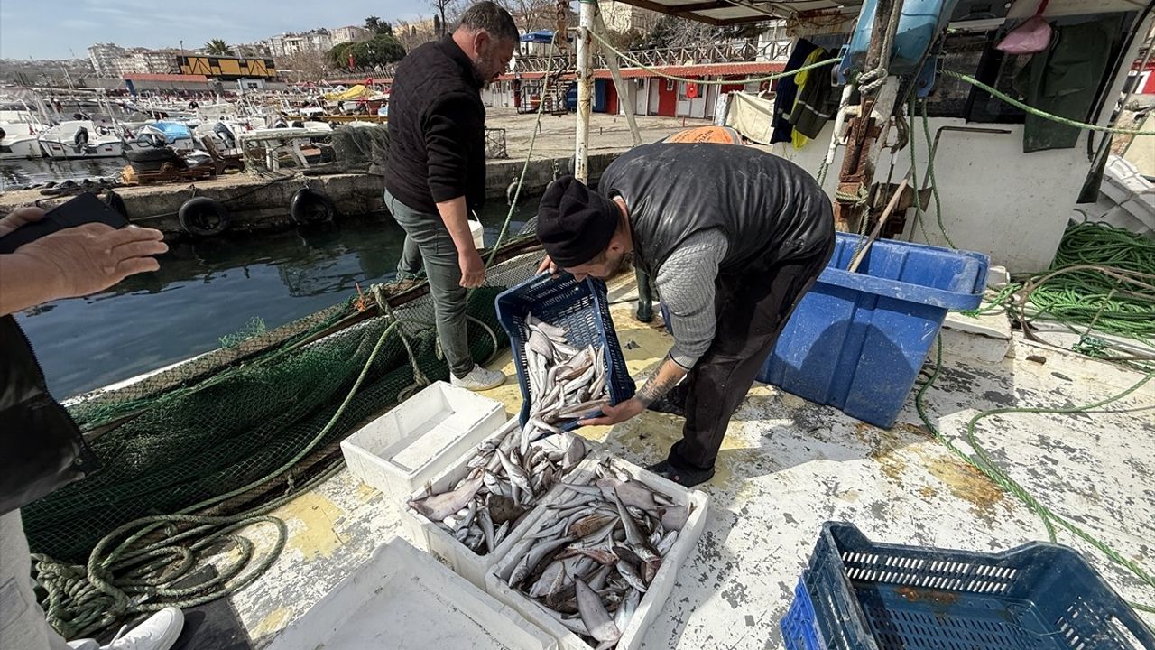 Tekirdağlı Balıkçıların Avı: Karides ve Mezgitle Dönüyorlar