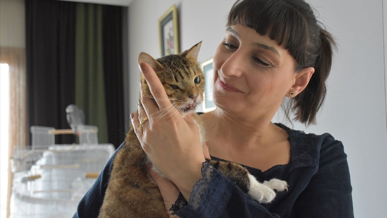 Trabzonlu Nilay Musacalı, Terkedilmiş Hayvanların Koruyucusu Oldu