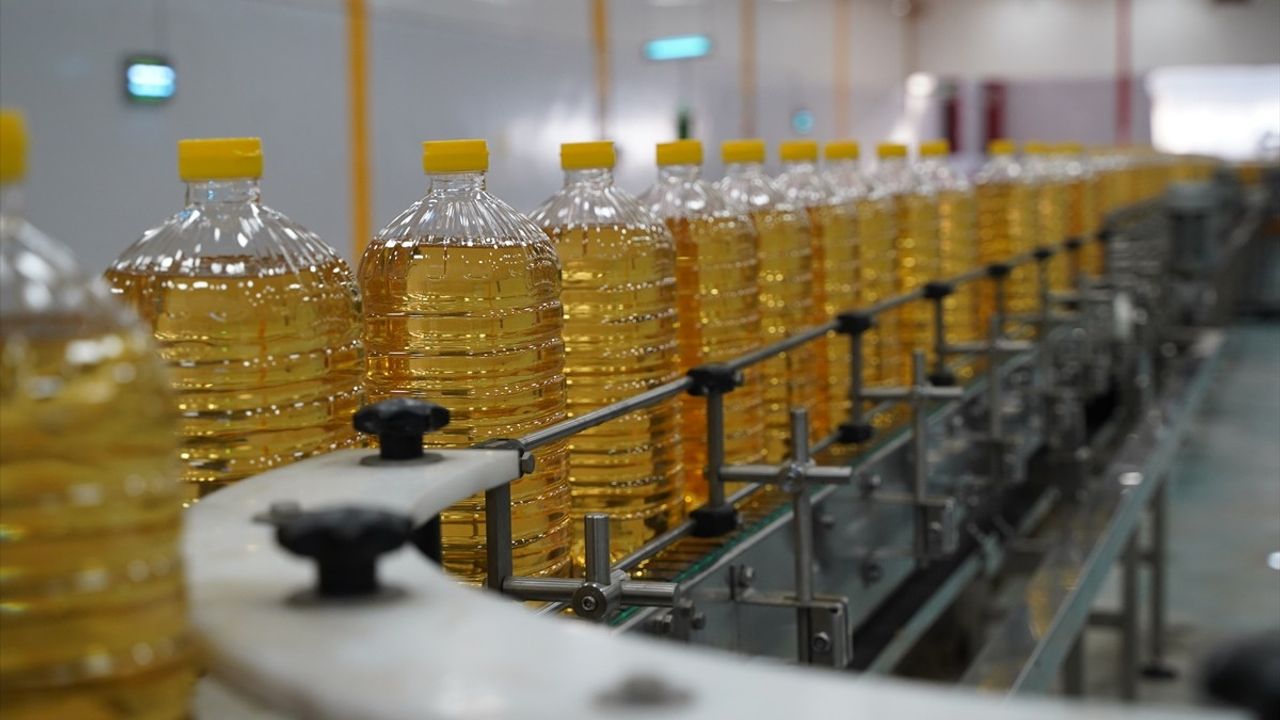 Türk İhracatçıları, Ayçiçeği Yağı Talebini Karşılıyor