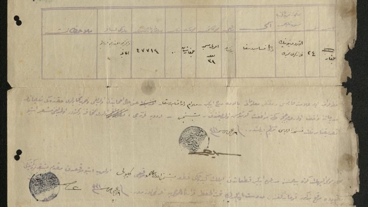 Wanda Zembruska: Çanakkale Savaşları'nın Tek Kadın Gazeticisi