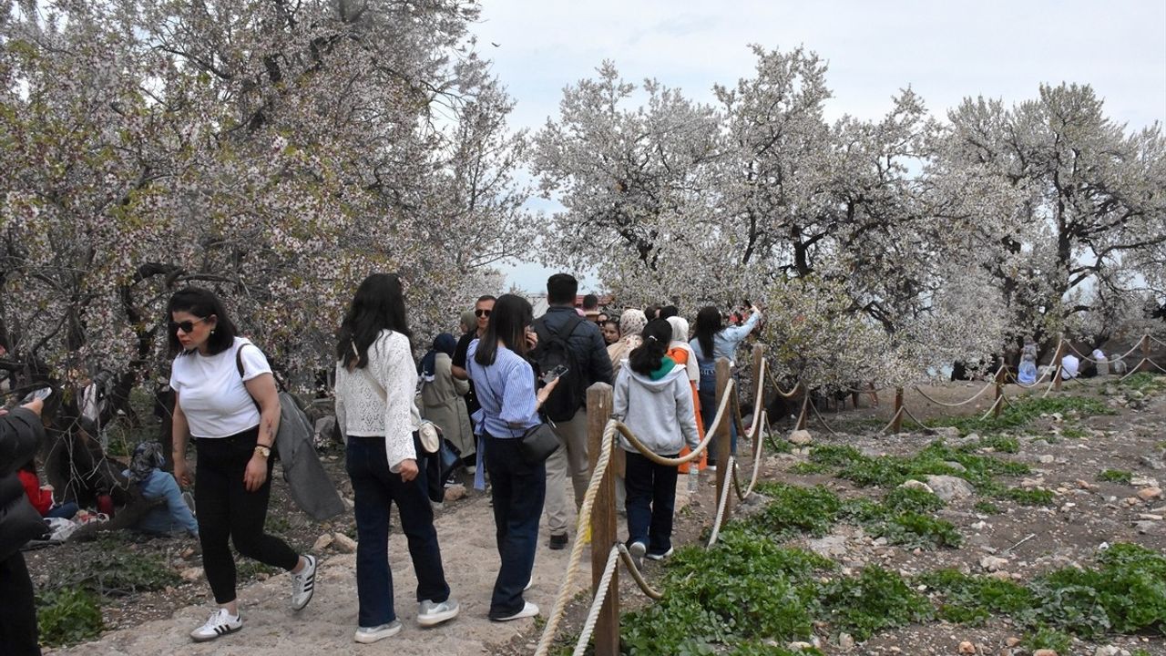 3. Akdamar Adası Badem Çiçeği Festivali Sona Erdi