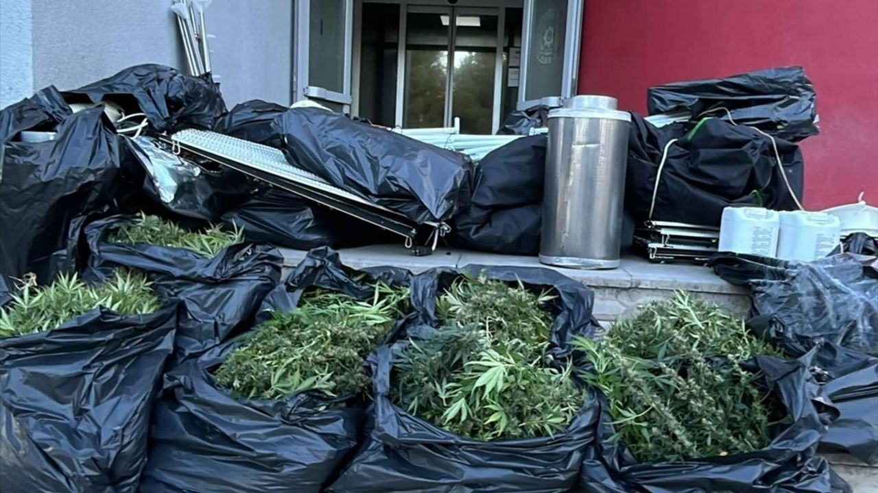 Adana'da Evinde Kenevir Yetiştiren Zanlı Gözaltına Alındı