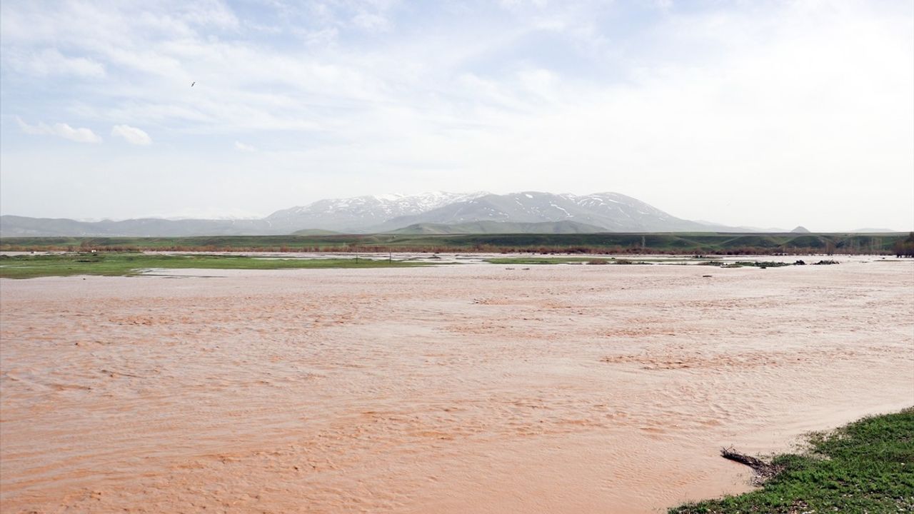 Ağrı'da Murat Nehri Taşınca Tarım Arazileri Su Bastı