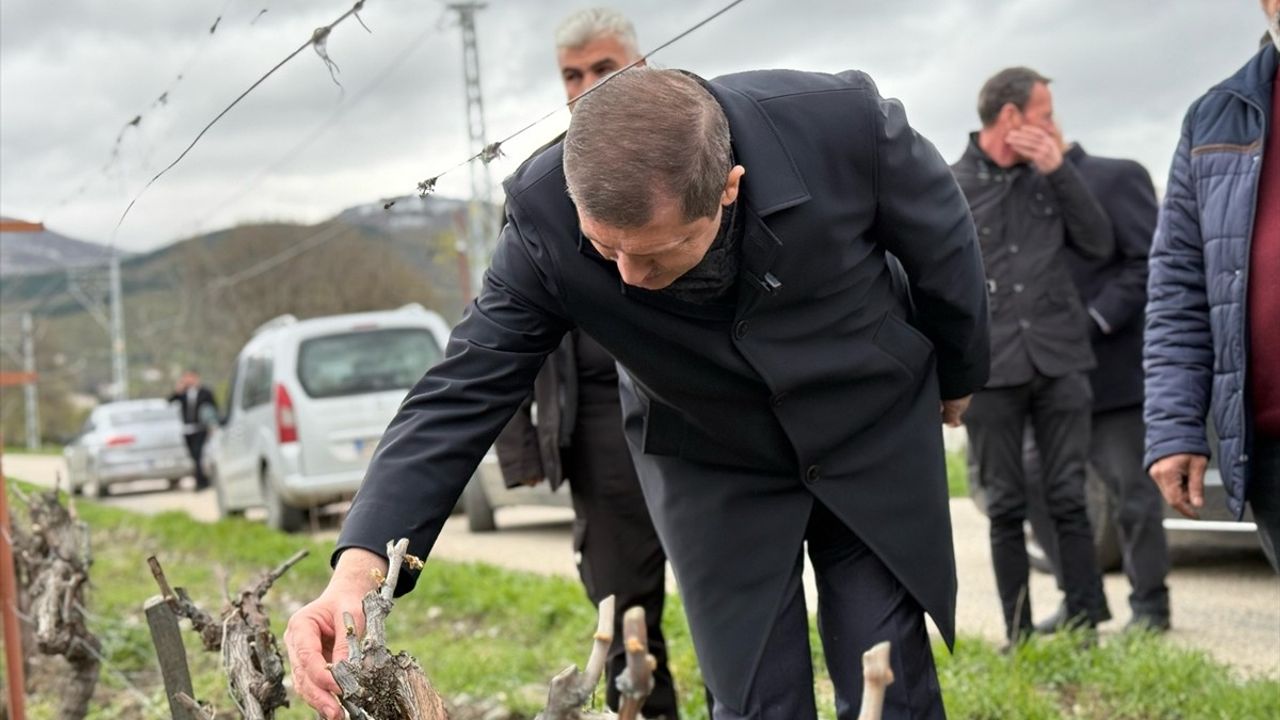 AK Parti Tokat Milletvekili Mustafa Arslan, Zirai Dondan Etkilenen Köyleri Ziyaret Etti