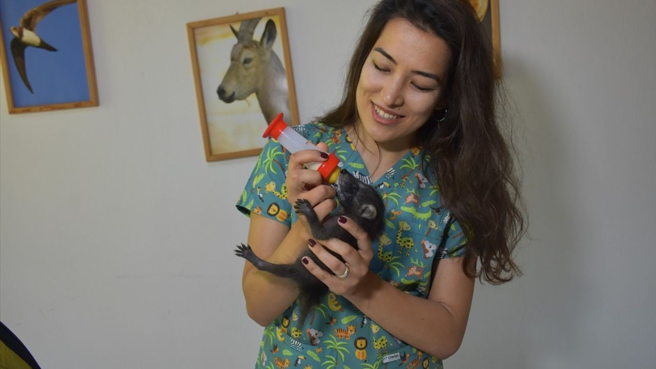 Antalya Doğal Yaşam Parkı'nda Yavrularla Hayvan Sevgisi Aşılanacak