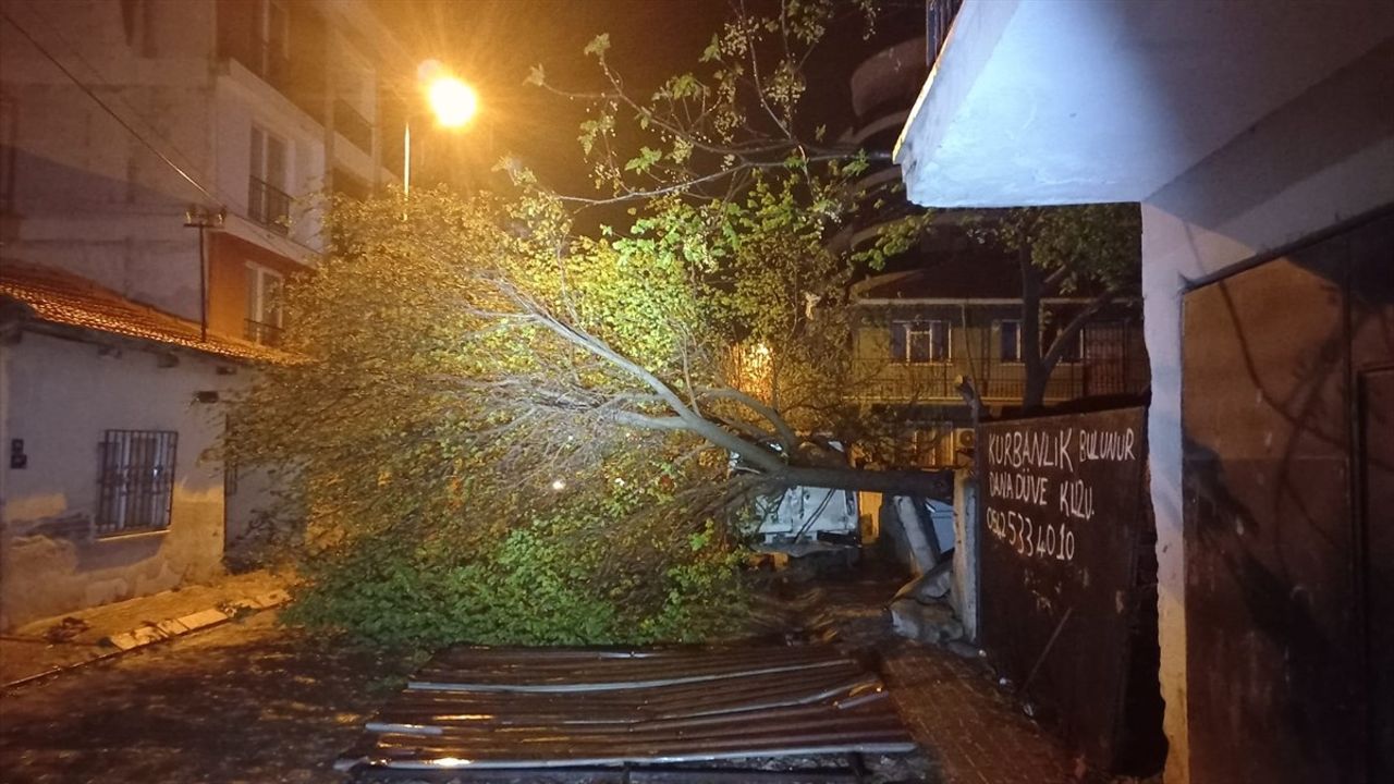 Aydın'da Fırtına: Çatılar Uçtu, Ağaçlar Devrildi