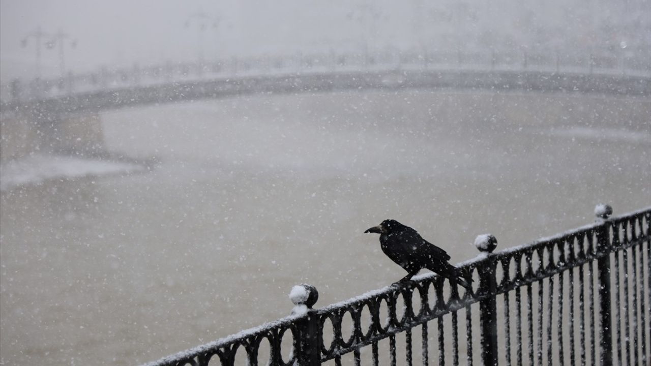 Bayburt'ta Kar Yağışı ve Soğuk Hava Etkili Oluyor