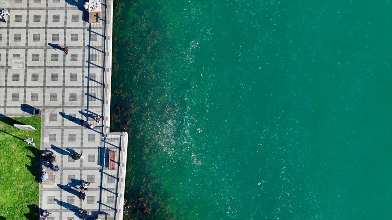 Beykoz Sahilinde Müsilaj Sorunu: Balıkçılar ve Çevre Sakinleri Mağdur