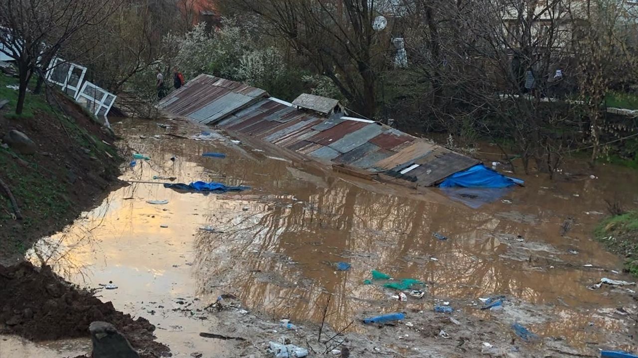 Bingöl'de Sağanak Nedeniyle Hayvan Telefi: 5 Hayvan Su Baskınında Can Verdi