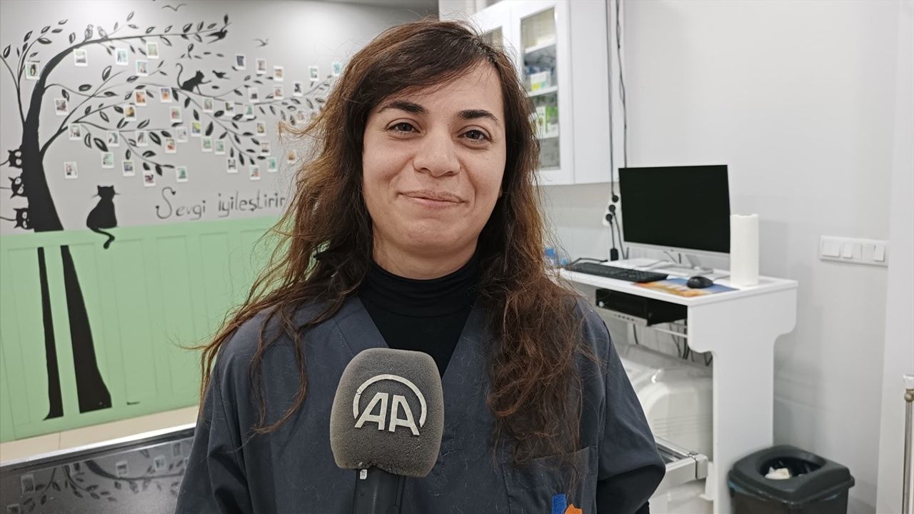 Bitlis'te Yaralı Flamingo Tedavi Altına Alındı