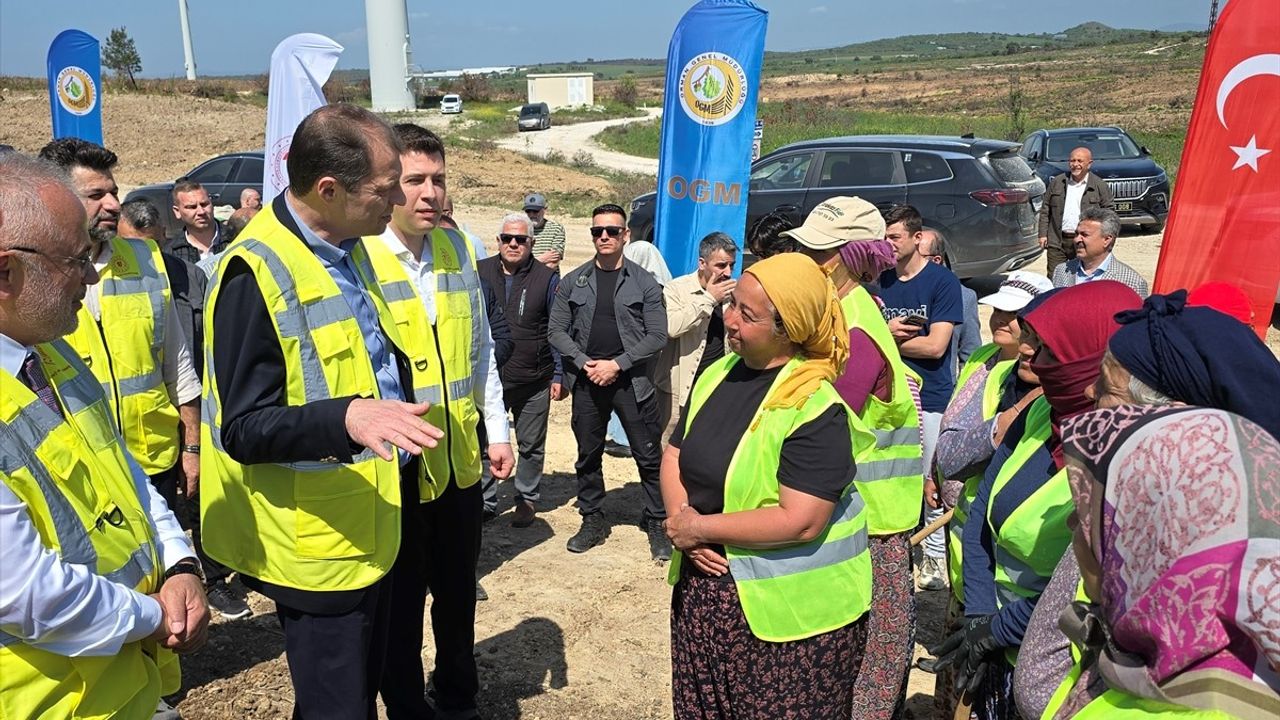 Çanakkale'de 100 bin fidanla 'Enerji Ormanı' kuruluyor