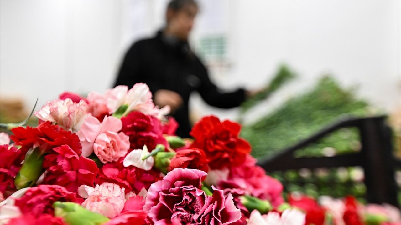 Çiçek Sektöründe İhracat İlk Çeyrekte 56,2 Milyon Doları Aştı