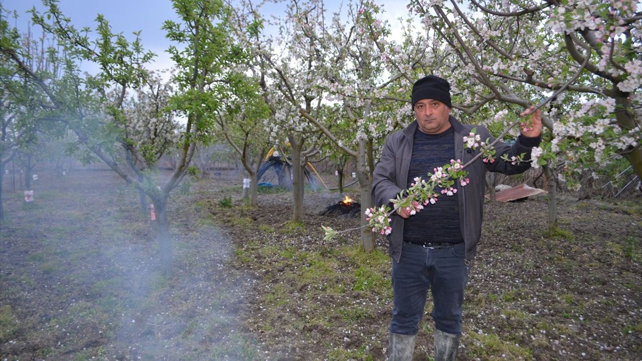 Çorum'da Çiftçiler, Zirai Dona Karşı Ateş Yakıyor
