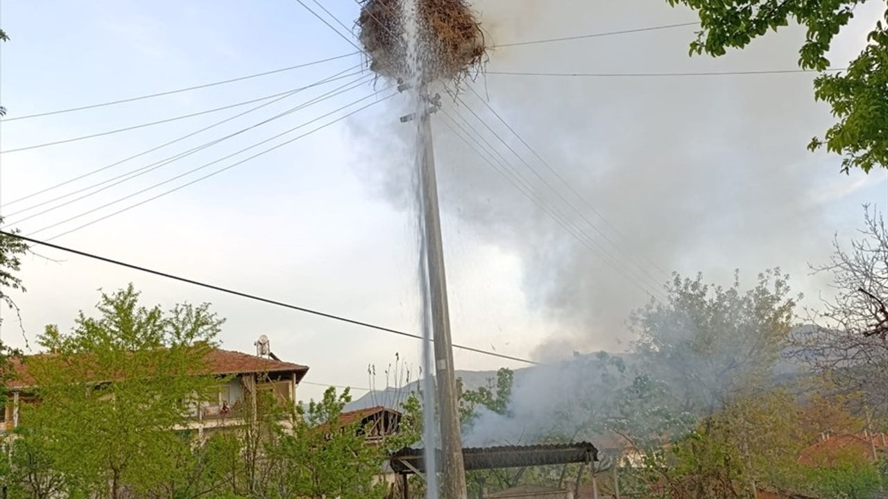 Çorum'da Elektrik Direğindeki Yangında Leylek Yuvası Zarar Gördü
