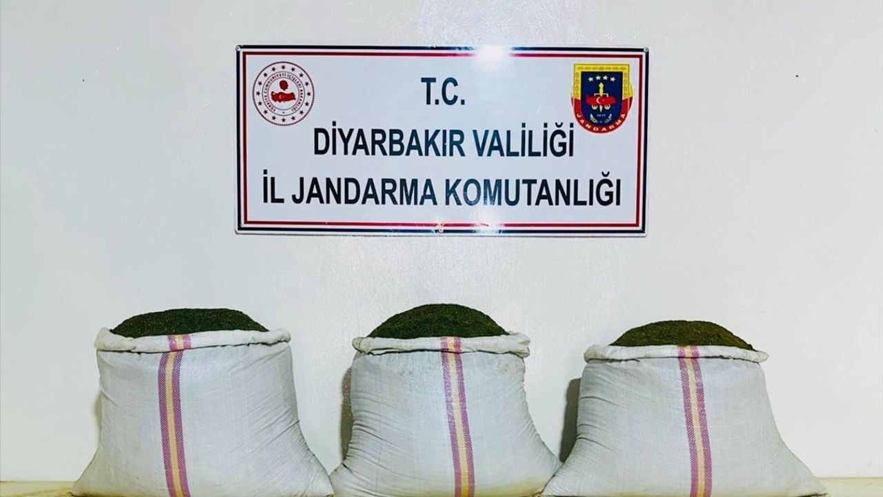 Diyarbakır'da 18 Bin 246 Kök Hint Keneviri ve 81 Kilo 800 Gram Esrar Ele Geçirildi