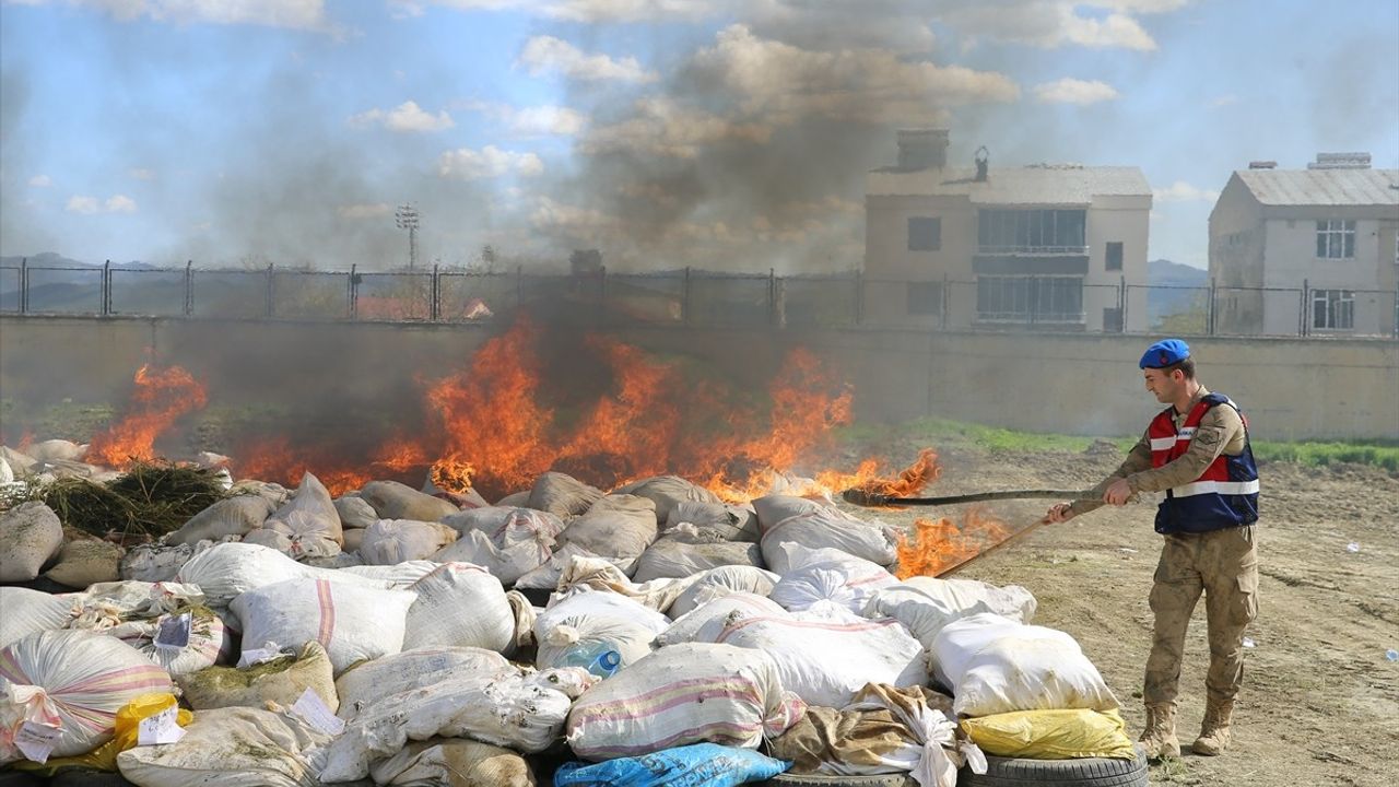 Diyarbakır'da 20 Ton Esrar İmha Edildi