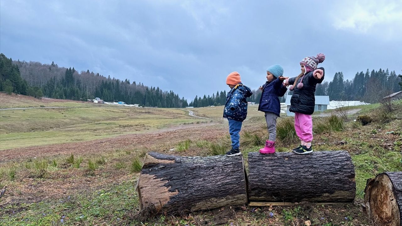 Düzce Yaylalarında Kış ve İlkbahar Buluşması