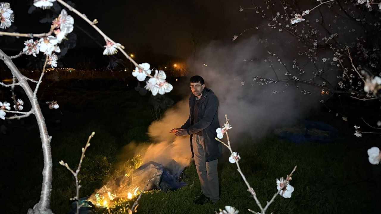 Erzincan'da Kayısı Üreticileri Gece Sıcaklık Düşıklığında Nöbette